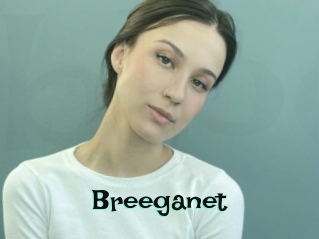 Breeganet