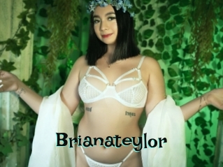 Brianateylor