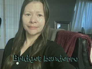 Bridget_banderro
