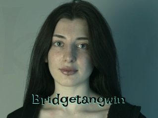Bridgetangwin