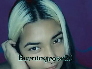 Burningrose20