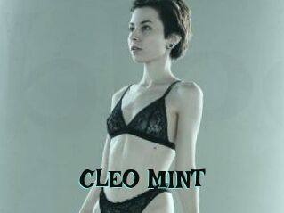CLEO_MINT