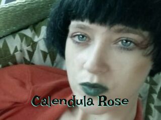 Calendula_Rose