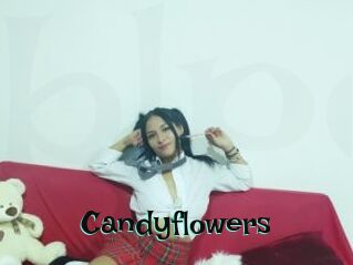 Candyflowers