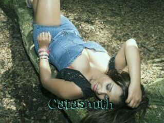 Catasmith