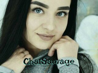 ChatSauvage