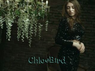 ChloeBird