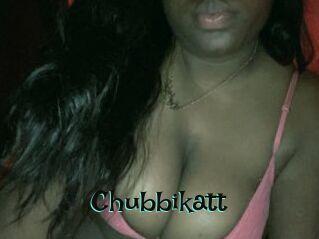 Chubbikatt