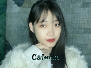 Cafenia