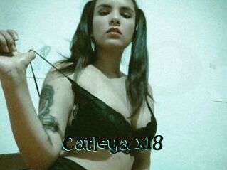 Catleya_x18