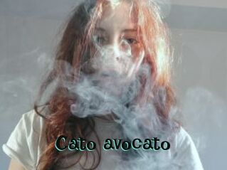 Cato_avocato