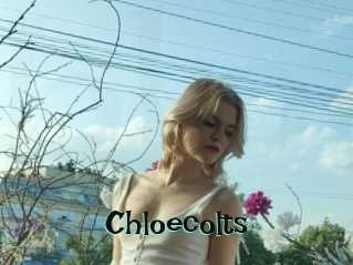 Chloecolts