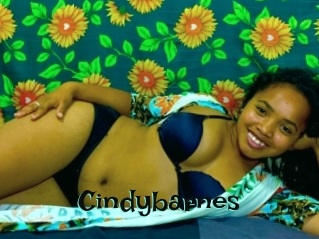 Cindybarnes