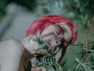 Citty