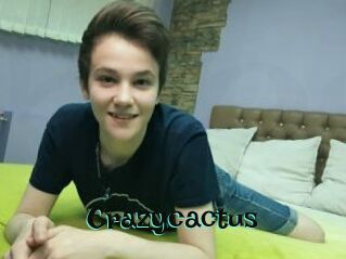 Crazycactus