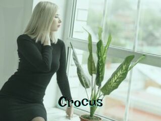 Crocus