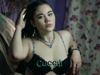 Cuccili