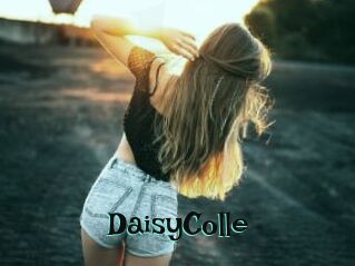 DaisyColle