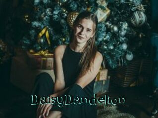 DaisyDandelion