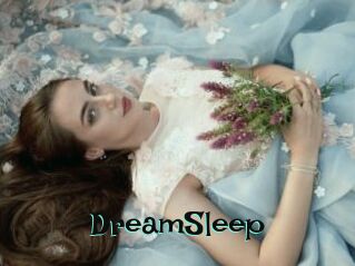 DreamSleep