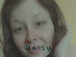D_a_i_s_y