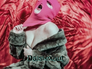 Daisiexout
