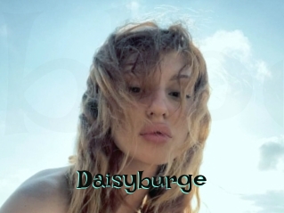 Daisyburge