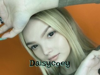 Daisycoey