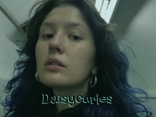 Daisycurles