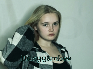 Daisygambee