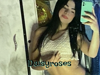 Daisyroses