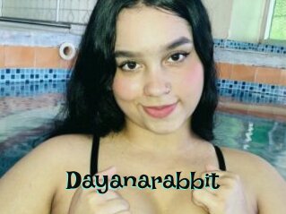 Dayanarabbit