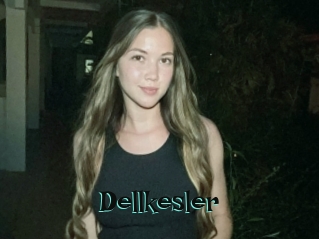Dellkesler