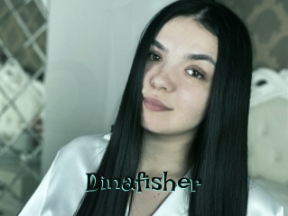 Dinafisher