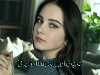 Dominoaldridge