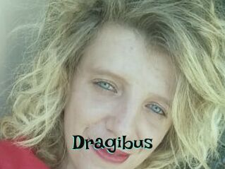Dragibus