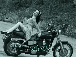 Dynaharley