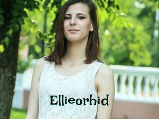 Ellieorhid