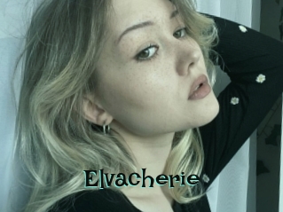 Elvacherie
