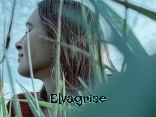 Elvagrise