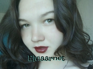 Elviaarnet