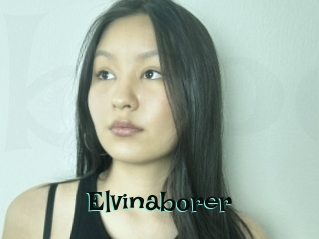 Elvinaborer