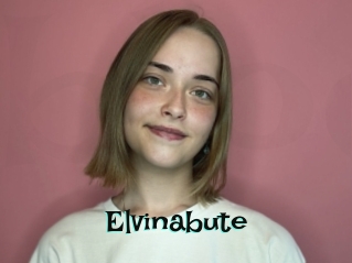 Elvinabute