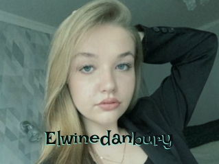 Elwinedanbury
