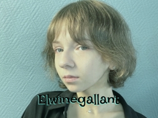 Elwinegallant