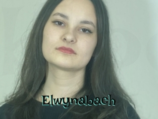 Elwynabach