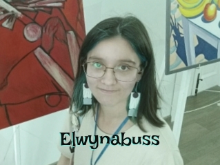 Elwynabuss