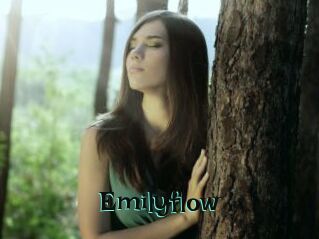 Emilyflow