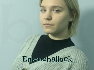 Erlenehallock