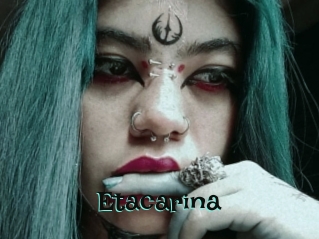 Etacarina